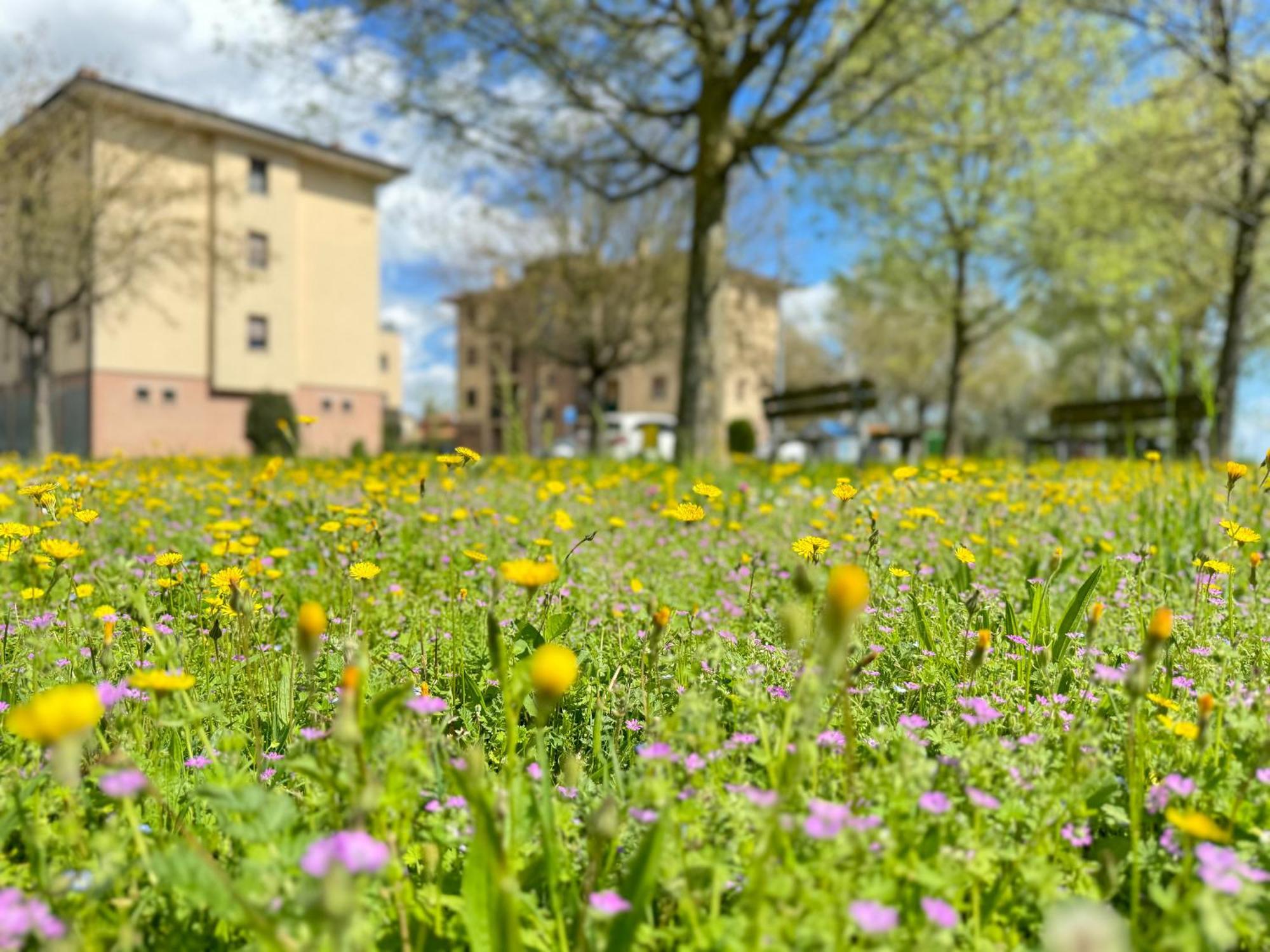 Nel Cuore Della Natura - Parcheggio Gratuito - Wi-Fi Apartment Mezzolara Luaran gambar
