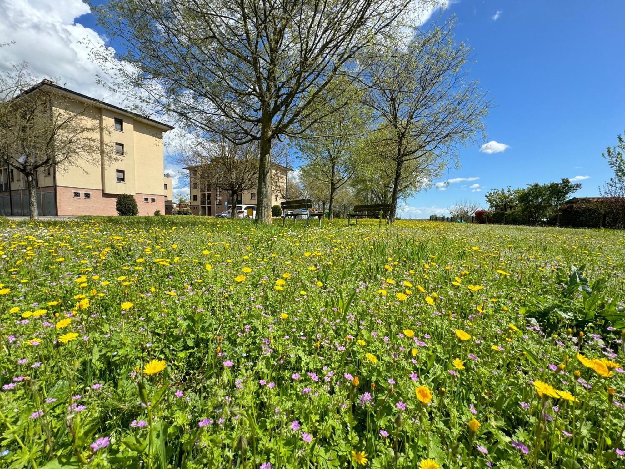 Nel Cuore Della Natura - Parcheggio Gratuito - Wi-Fi Apartment Mezzolara Luaran gambar